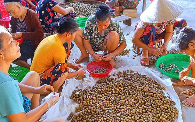 'Lộc trời' trong rừng giúp người dân huyện miền núi thoát nghèo