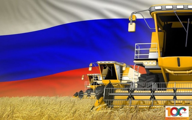 Ai Cập bất ngờ phá vỡ thỏa thuận ngũ cốc với Nga