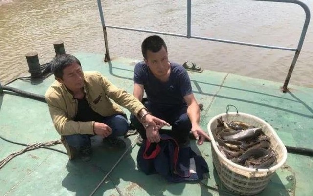 Dùng cá nhỏ làm “mồi câu”, 2 người đàn ông thu về hơn 40 kg cá sông nhưng bị cảnh sát phạt gần 40 triệu đồng: Nguyên nhân ít ai ngờ tới!