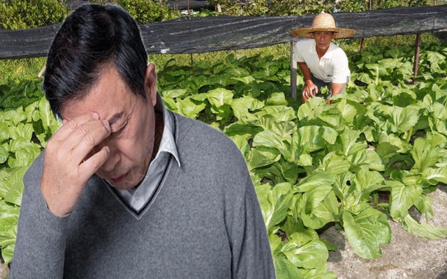 Cho hàng xóm mượn vườn trồng rau, sau 3 năm “đòi lại” thì vườn có "chủ mới": Cảnh sát vào cuộc điều tra, kẻ tham lam nhận bài học nhớ đời