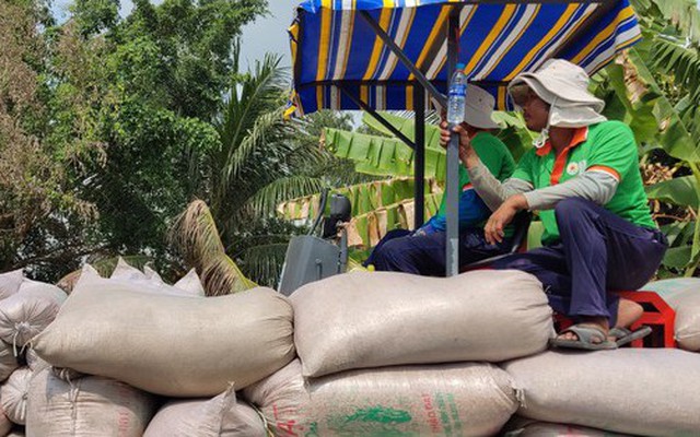 Philippines áp trần giá gạo, nhà nhập khẩu đòi hủy đơn hàng, gạo Việt Nam sẽ ra sao?