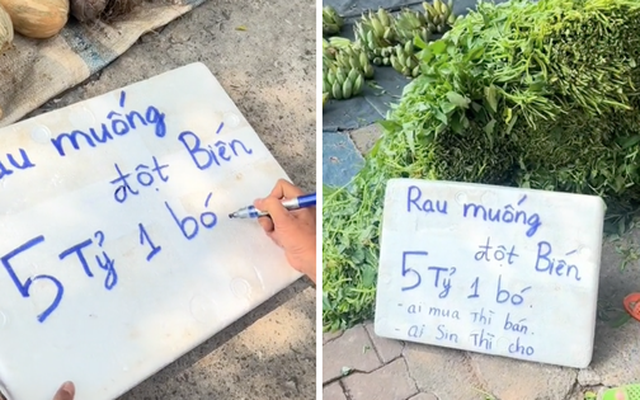 Anh bán rau treo biển 5 tỷ cho bó rau muống đột biến, dân mạng đồng loạt gọi tên Thái Công