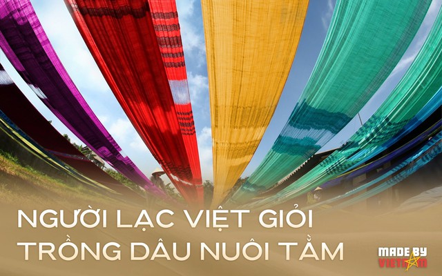 Sản vật 5.000 năm của Việt Nam là "ông vua" ở Đông Nam Á: Giữ một chỉ số vượt cả Nhật Bản, Trung Quốc