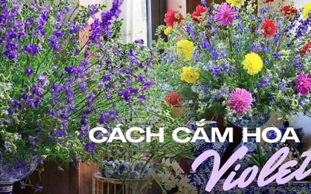 Mẹo cắm hoa Violet và lựa bình phù hợp để có ngay không gian phòng khách chuẩn vị Tết xưa, sáng bừng sức sống, tươi lâu cả tuần