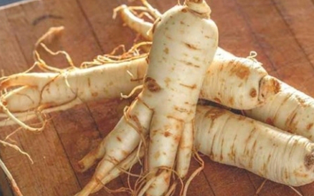 Nhân sâm "đại kỵ" với những người này, chớ dại dùng kẻo "tiền mất tật mang"