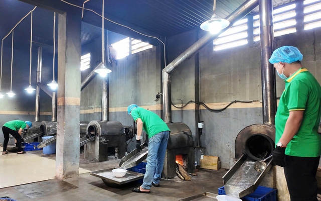 Đưa loại “hạt quý” chinh phục thị trường thế giới, anh nông dân thu lãi 250 tỷ đồng/năm