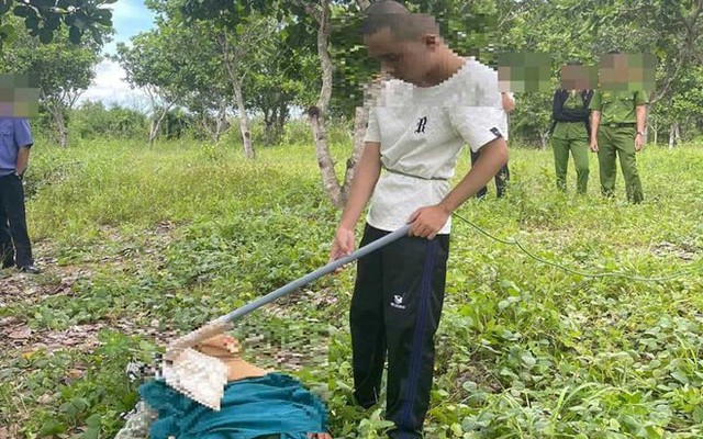 Cậu bé chăn bò tiết lộ manh mối quý giá giúp cảnh sát xác định nghi phạm giết mẹ đẻ, phi tang thi thể