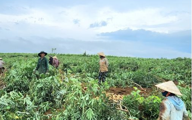 Đây là ‘mỏ vàng’ dưới lòng đất đứng thứ 2 trên thế giới của Việt Nam: Thu hơn 800 triệu USD kể từ đầu năm, nước ta có sản lượng hơn 10 triệu tấn/năm