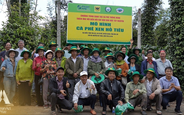 Sở hữu công thức thông minh, người dân trồng “loại cây 6 tỷ đô” cười tươi dù bị ảnh hưởng biến đổi khí hậu