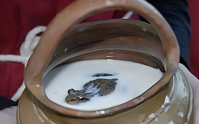 Người xưa bảo quản sữa bằng cách nào khi chưa có tủ lạnh?