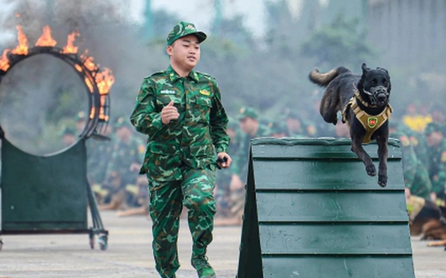 Điều đặc biệt đội quân khuyển tham gia trình diễn tại Triển lãm Quốc phòng quốc tế Việt Nam