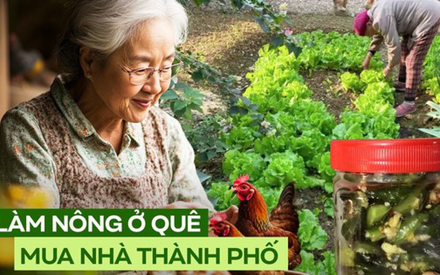 Nói đến tiết kiệm, tôi chắc chắn phải học rất nhiều từ mẹ chồng, người đã mua được 2 căn nhà từ nghề làm ruộng