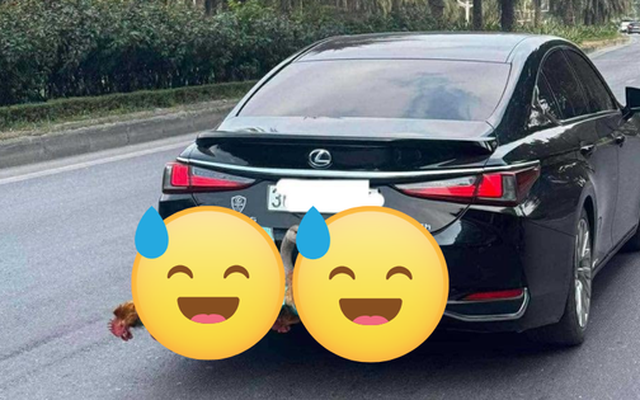 Bức ảnh chụp phía sau Lexus bạc tỷ ở Hà Nội khiến nhiều người bật cười, còn tôi lại nghẹn ngào rưng rưng