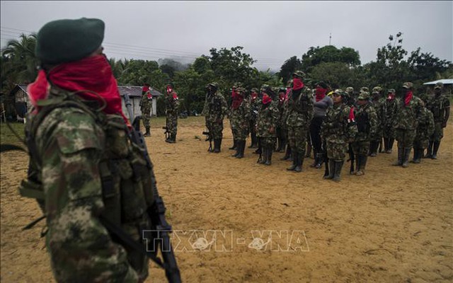 Colombia: Nhóm vũ trang ELN tuyên bố 'tấn công vũ trang' bất chấp thỏa thuận ngừng bắn
