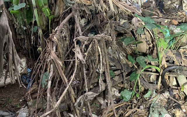 Hà Nội: Phát hiện bộ hài cốt của phụ nữ gần trang trại chăn nuôi gà