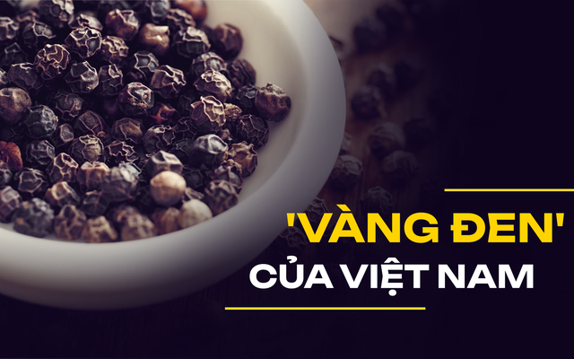 'Vàng đen' đưa Việt Nam trở thành nước xuất khẩu số 1 thế giới suốt 22 năm: Riêng 2023 thu gần 1 tỷ USD