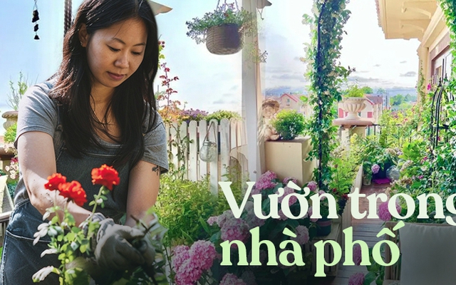 Bất chấp nhiều phản đối, tôi vẫn nhất quyết mua căn chung cư ở tầng cao nhất và biến ban công thành một khu vườn