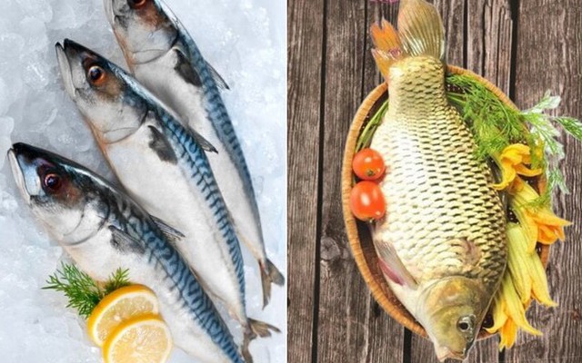 Ăn cá nước mặn hay cá nước ngọt bổ dưỡng hơn?