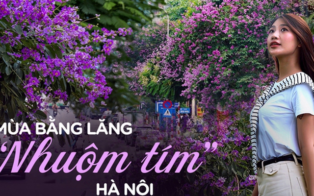 Từ đường phố Hà Nội tới MXH đều ngập sắc tím bằng lăng: Năm nào cũng nở nhưng năm nay bỗng phủ sóng khắp mọi mặt trận