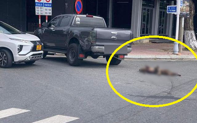 2 chú chó bị xe bán tải kéo lê thảm thương trên phố Đà Nẵng: Người nhà hé lộ sự tình