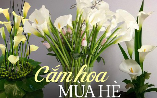 Loài hoa “đỏng đảnh” nhưng nhất định phải cắm vào mùa hè, ưa sáng, chịu được nhiệt độ cao, độ bền lên tới 15 ngày