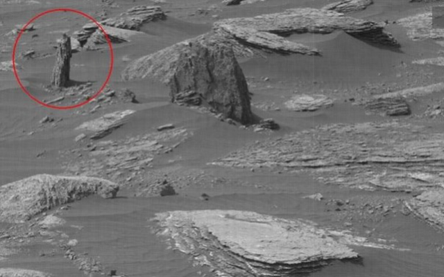 Bí ẩn "cây cổ thụ" trên Sao Hỏa: Phát hiện chấn động từ Nasa hé lộ điều gì?