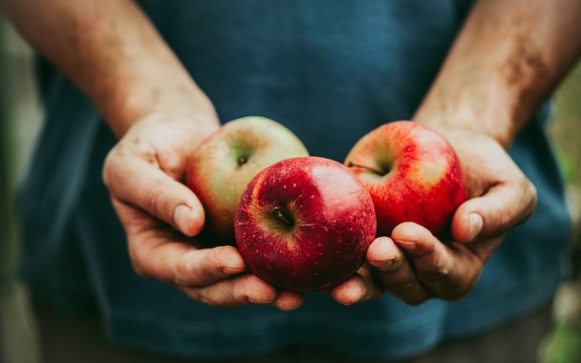 Người đàn ông hôn mê sau khi ăn táo: Chuyên gia chỉ ra một sai lầm "chí mạng"