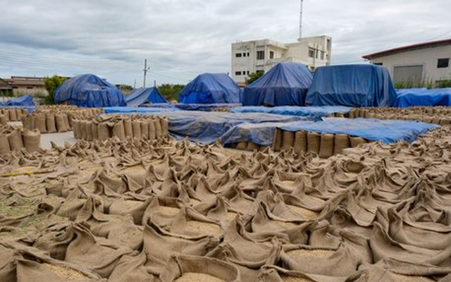 'Báu vật' nhà trồng được của Việt Nam sang Ukraine đắt như tôm tươi: Xuất khẩu tăng nóng 3.800%, toàn cầu đều đang tìm đến nước ta mua hàng