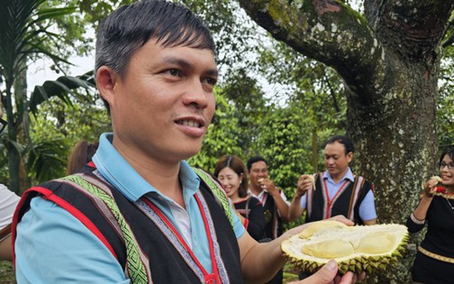 Hàng nghìn nông dân đổi đời, mua ô tô nhờ sầu riêng