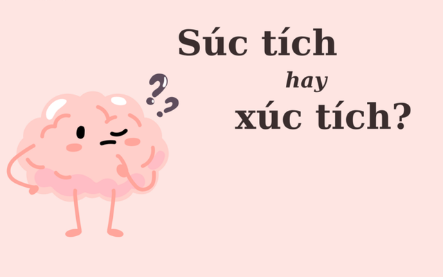 'Súc tích' hay 'xúc tích', từ nào mới đúng?
