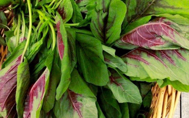 Rau dền bổ máu nhưng “đại kỵ” với những người này, thèm mấy cũng không nên ăn