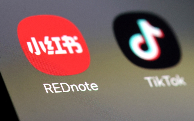 Người dùng TikTok đồng loạt đăng ảnh mèo trên "Tiểu hồng thư": Chuyện gì đang xảy ra?