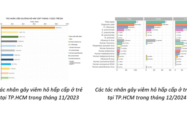 Virus gây bệnh hô hấp ở Trung Quốc từng được ghi nhận tại TP HCM