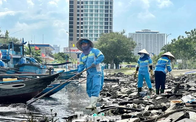 Rác thải ken đặc bãi biển Đà Nẵng sau bão