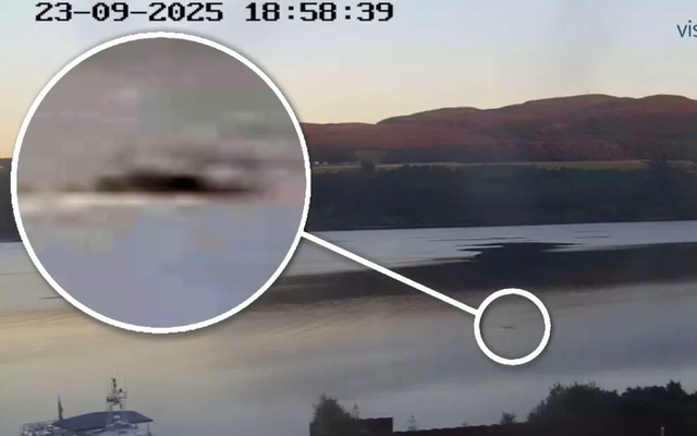 Gặp 'thủy quái' to như xe buýt bơi trên mặt hồ, thợ săn nói: Những gì tôi thấy là độc nhất vô nhị