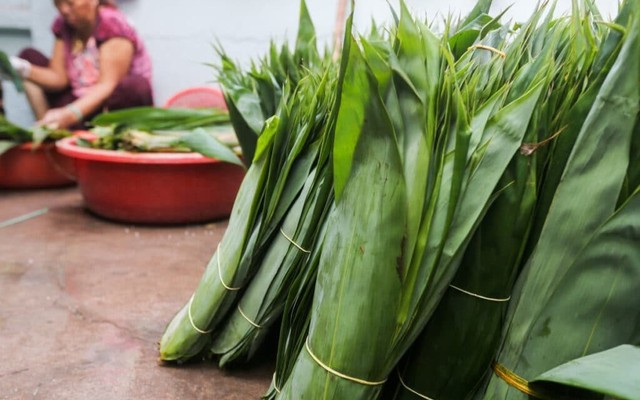 Loại lá trước kia cho không ai lấy, nay được Trung Quốc bao mua: Người dân Phú Thọ “hái ra tiền tỷ”