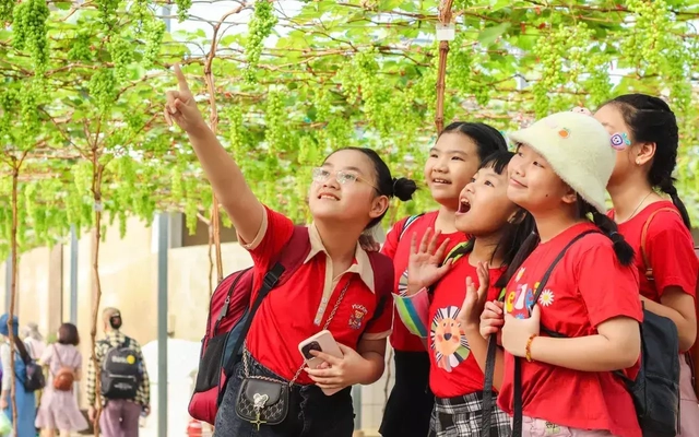 Sản xuất nông nghiệp kết hợp du lịch cộng đồng: Đa dạng trải nghiệm, tiêu dùng xanh