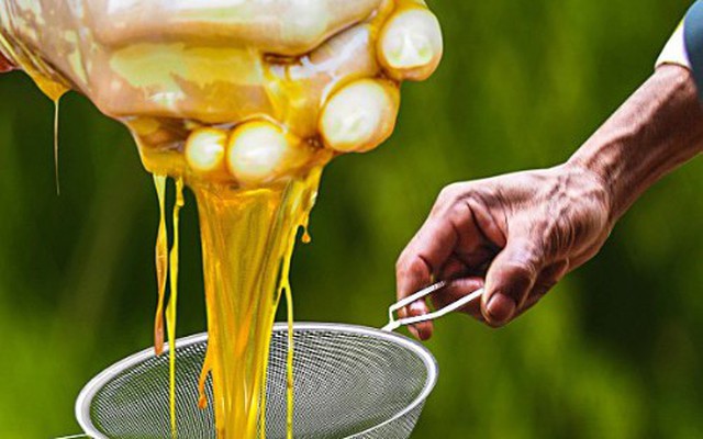 Đặc sản đắt nhất thế giới 40 triệu/kg, Việt Nam có loại thiên nhiên nguyên bản, thơm ngọt chẳng kém cạnh