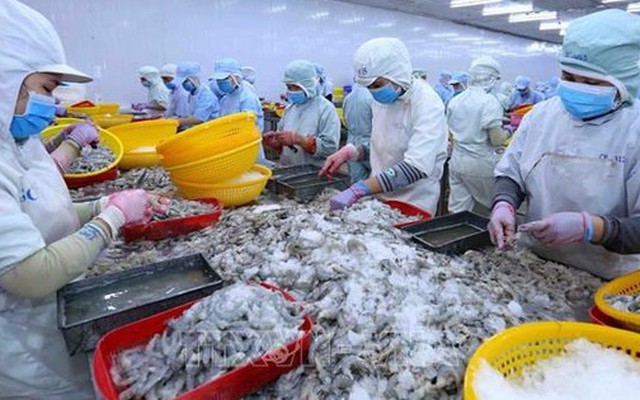 Tổng Giám đốc một công ty thủy sản lớn xin nghỉ việc vì "cảm thấy năng lực không còn đáp ứng được"