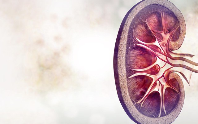 Ngủ dậy thấy 5 triệu chứng này, cẩn trọng vì có thể thận đang suy hỏng