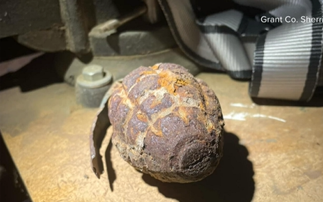 Bé trai 3 tuổi phát hiện ra "điều khủng khiếp" trong sân nhà khiến cả thị trấn căng thẳng