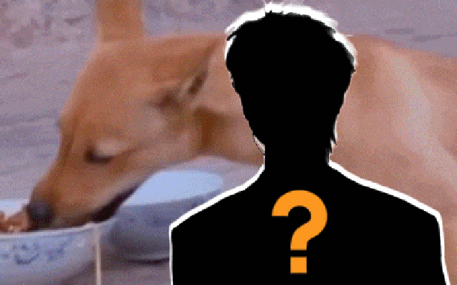 1 sao nam Bố Ơi Mình Đi Đâu Thế gặp nguy hiểm tính mạng