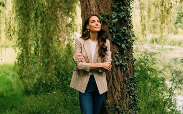 Giải mã 'Tắm rừng' - liệu pháp phục hồi, cải thiện sức khỏe được Bill Gates, công tương Kate cực ưa chuộng