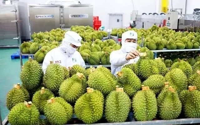 Trung Quốc ra quy định mới về nhập khẩu nông sản, doanh nghiệp Việt cần chú ý