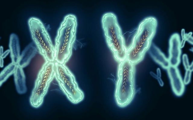 Mang hình hài nữ suốt 21 năm, xét nghiệm bỗng phát hiện là đàn ông khiến cả gia đình sững sờ