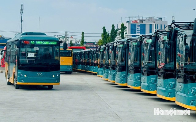 TP Hồ Chí Minh: Xem xét chuyển đổi công năng gần 100 xe buýt CNG đang "đắp chiếu"
