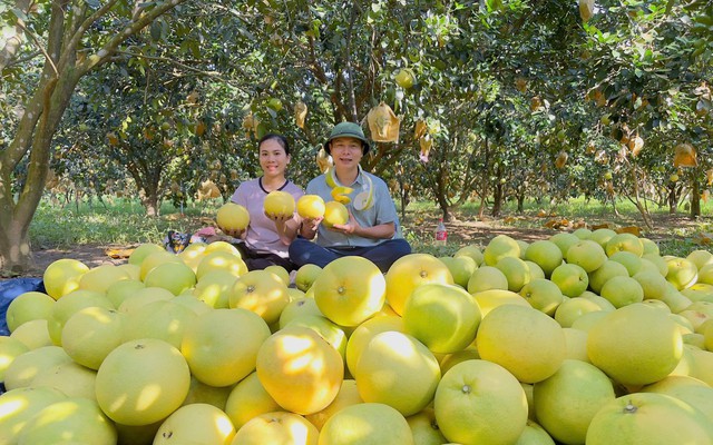'Đệ nhất danh quả' Hà Tĩnh được chọn trong tiệc cưới Đỗ Thị Hà