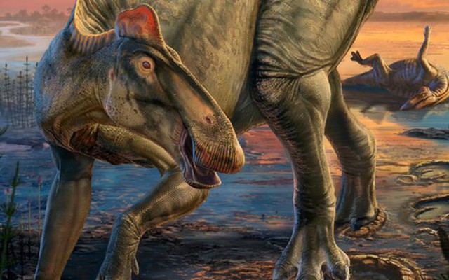 "Xác ướp" quái vật dài 12 m gây sốc ở Mỹ