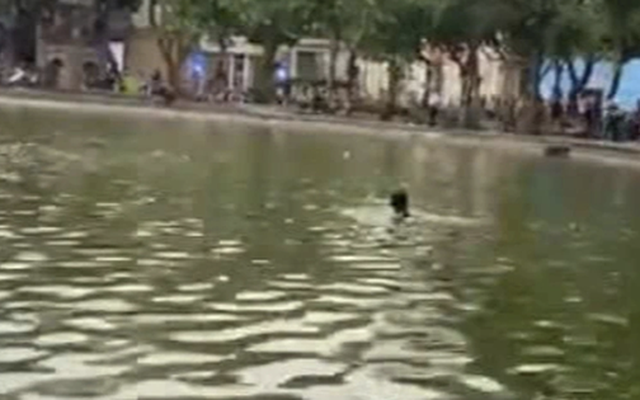 Điều tra vụ cô gái lội  xuống hồ Hoàn Kiếm tử vong