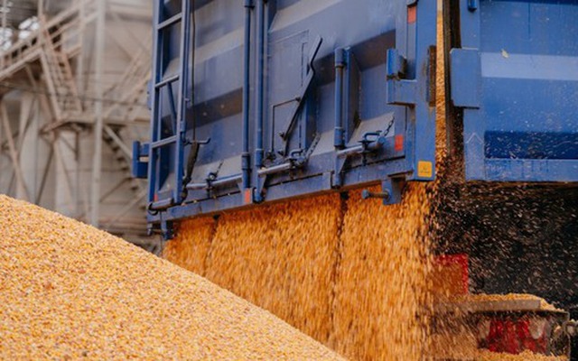 Thế chân Ấn Độ, hàng chục nghìn tấn hàng từ Lào đổ bộ Việt Nam - Nước ta có diện tích trồng top 30 thế giới vẫn chi tiền tỷ nhập khẩu